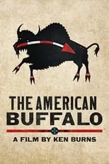 Portada de The American Buffalo