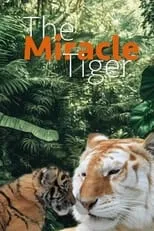 Portada de The Miracle Tiger