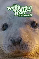 Portada de The Wonderful World of Baby Animals