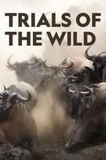 Portada de Trials of the Wild