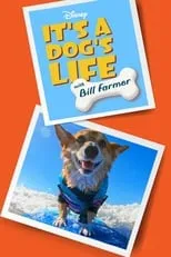 Portada de Una vida de perros, con Bill Farmer