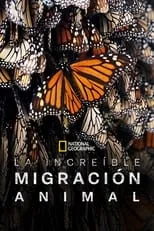 Portada de La increíble migración animal