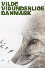 Portada de Vilde vidunderlige Danmark