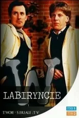 Portada de W labiryncie