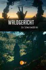 Portada de Waldgericht - Ein Schwarzwaldkrimi