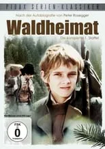 Portada de Waldheimat