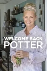 Portada de Welcome Back Potter