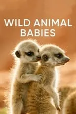 Portada de Wild Animals Babies