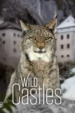 Portada de Wild Castles