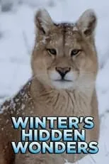 Portada de Winter's Hidden Wonders