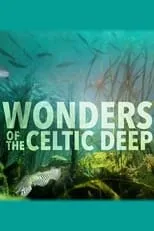 Portada de Wonders of the Celtic Deep