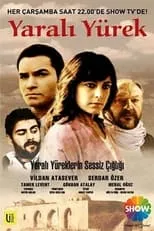 Portada de Yaralı Yürek