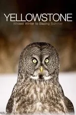 Portada de Yellowstone: El gran deshielo