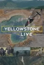 Portada de Yellowstone Live