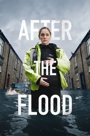 After the Flood portada