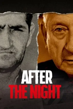 After the Night portada