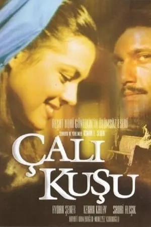 Çalıkuşu portada