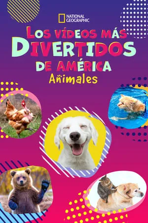 America's Funniest Home Videos: Animal Edition portada