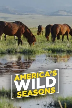 America's Wild Seasons portada