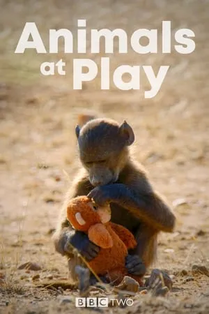 Animals at Play portada