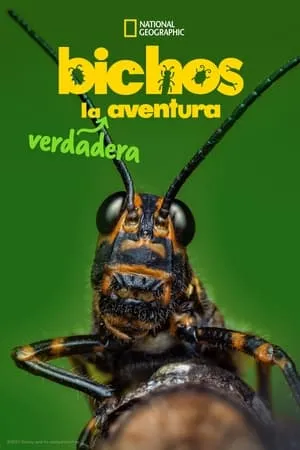 Bichos: La verdadera aventura portada