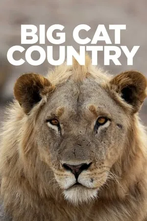 Big Cat Country portada