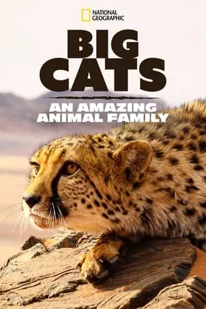 Big Cats: An Amazing Animal Family portada