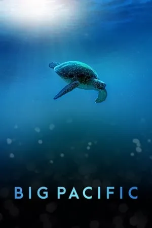 Big Pacific portada