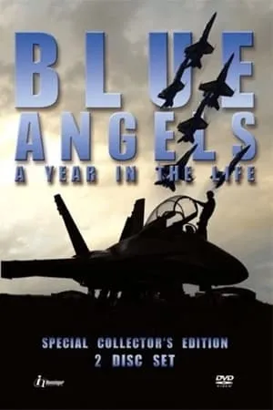 Blue Angels: A Year in the Life portada