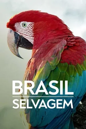 Brasil Selvagem portada