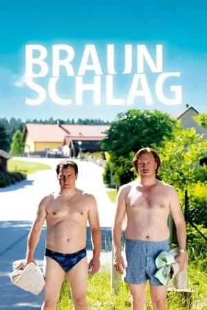 Braunschlag portada