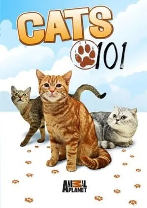 Cats 101 portada