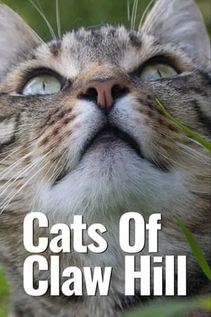 Cats of Claw Hill portada