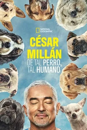 Cesar Millan: Mejores Humanos, Mejores Perros portada