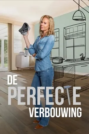 De Perfecte Verbouwing portada