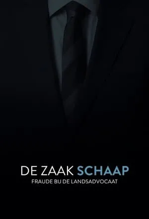 De Zaak Schaap: fraude bij de landsadvocaat portada