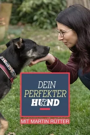 Dein perfekter Hund portada