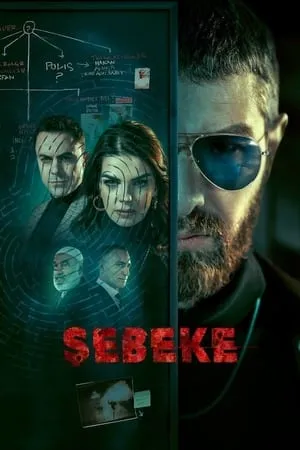 Şebeke portada