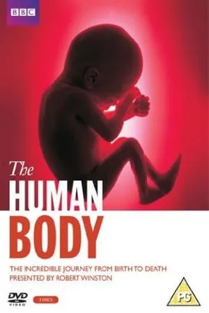 El Cuerpo Humano portada