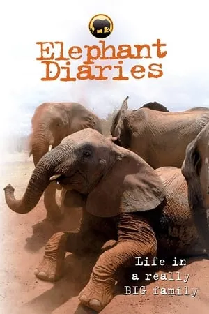 Elephant Diaries portada