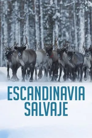 Escandinavia salvaje portada