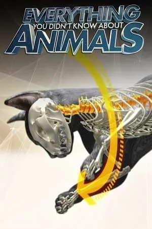 Everything You Didn't Know About Animals portada