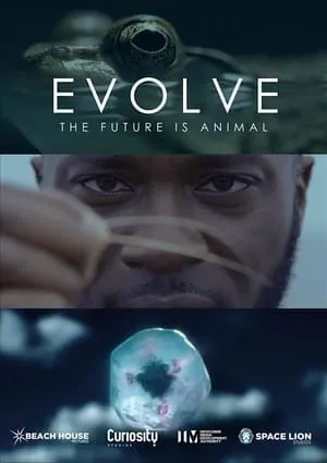 Evolve portada