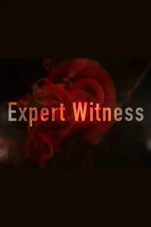 Expert Witness portada