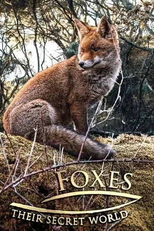 Foxes: Their Secret World portada