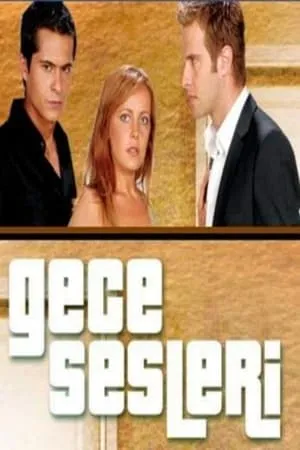 Gece Sesleri portada