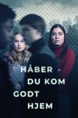 Håber du kom godt hjem portada