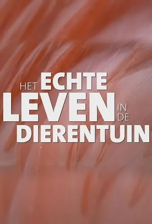 Het echte leven in de dierentuin portada