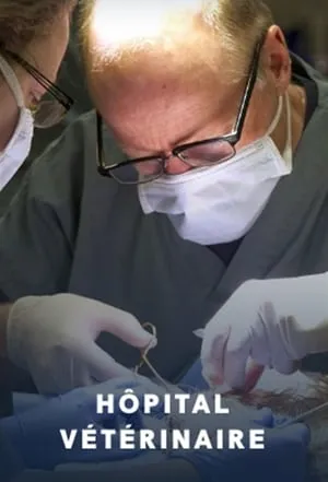 Hôpital vétérinaire portada