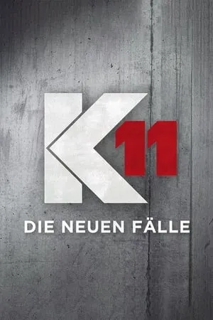 K11 - Die neuen Fälle portada